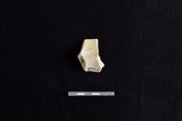 陶罐藏品圖，第2張